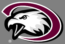 CSC鹰标志与白色注册商标符号在灰色背景.