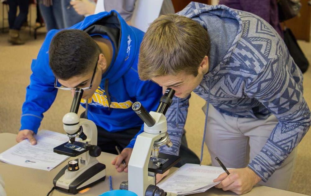 学生在显微镜下观察